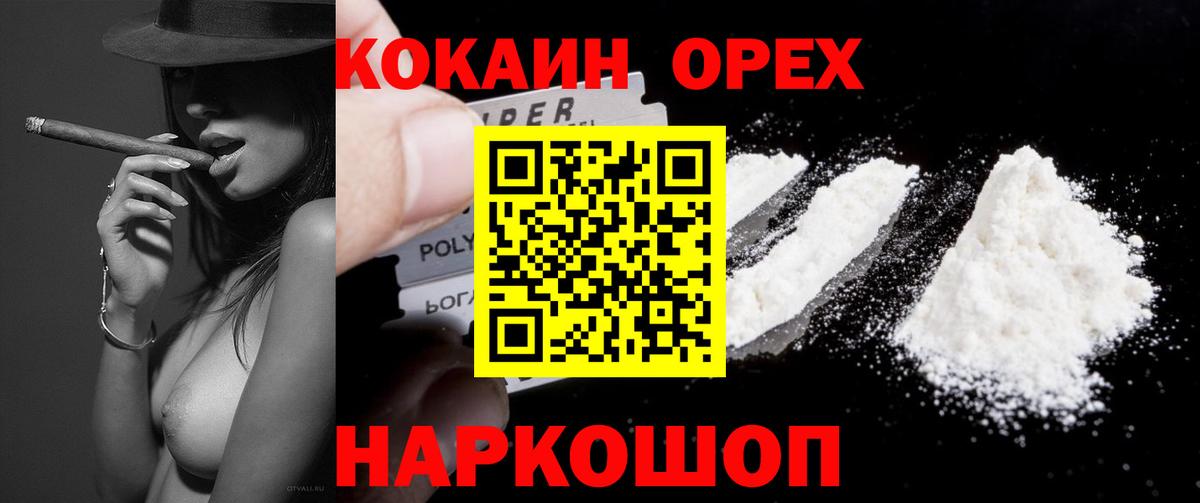 Cocaine Fish Scale  Вход с VPN  Бирск  Cocaine VHQ 
