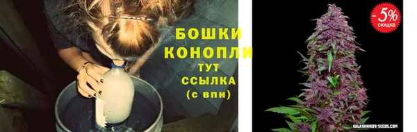 сатива Белоозёрский