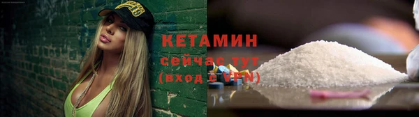 сатива Белоозёрский