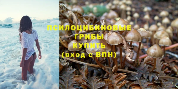 синтетический гашиш Белокуриха