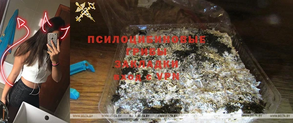 сатива Белоозёрский