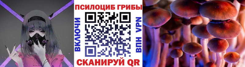 блэк спрут ССЫЛКА  Бирск  Галлюциногенные грибы MAGIC MUSHROOMS 