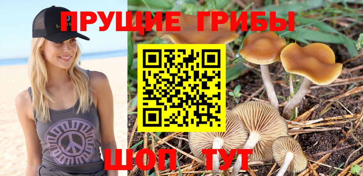 Псилоцибиновые грибы мухоморы Бирск